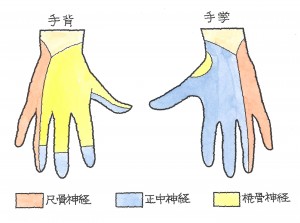 上腕骨骨幹部骨折５