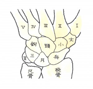 手根骨の骨折　手根不安定症